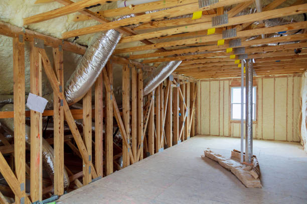 Best Insulation for New Construction  in Belle Glade, FL