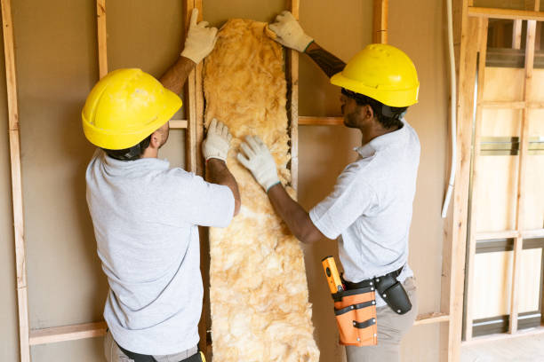 Best Garage Insulation Installation  in Belle Glade, FL